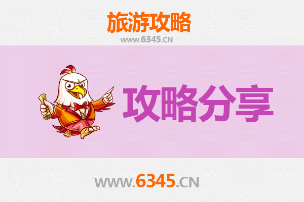 西宁城东旅游攻略：跟团与自由行深度对比